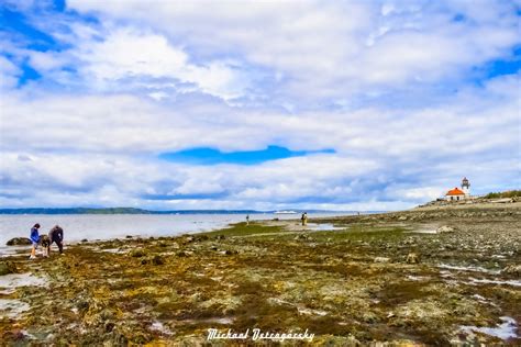 Michael Ostrogorsky Ph D On Twitter Beachcombing Low Tide Alki Point