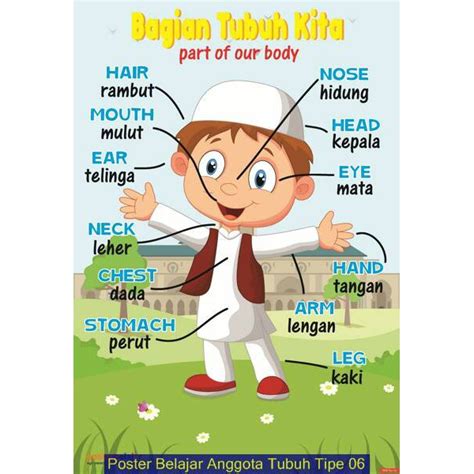 Gambar Anggota Tubuh Bahasa Inggris Pulp