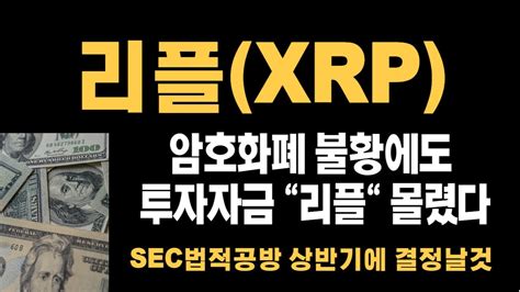 리플 코인전망 앞으로의 방향성은 비트코인 리플 이더리움 호재 전망 분석 코인 Upbit Coin Btc