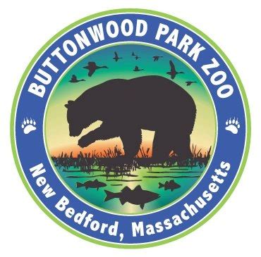 Definitive Guide To Buttonwood Park Zoo Facts, List Of Animals, Reviews ...