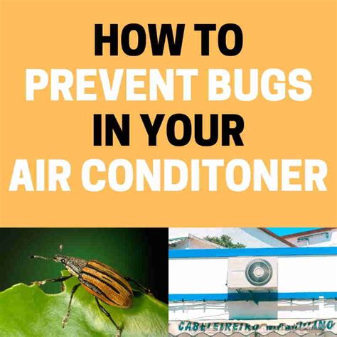 How To Prevent Bugs From Coming Through Air Conditioner Bats