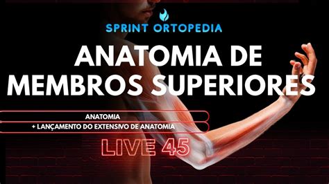 Live Anatomia De Membros Superiores Sprint Ortopedia Youtube