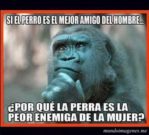 Buenisimas Imagenes Para Reirse Mucho Mundo Imagenes Frases Actuales