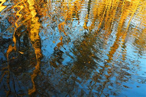 Reflections in the water Free Photo Download | FreeImages