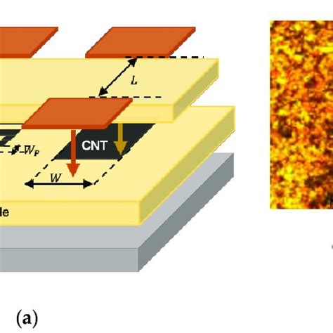 Carbon nanotube sensors. (a) Magnified view of the temperature-moisture... | Download Scientific ...