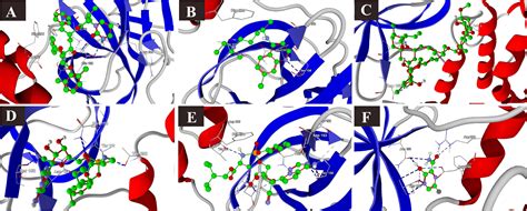 Frontiers Molecular Docking Reveals Ivermectin And Remdesivir As