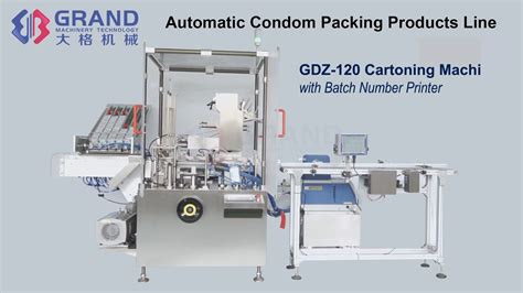 Gdz Automatic Horizontal Cartoner Medicine Granules Sachets Medical