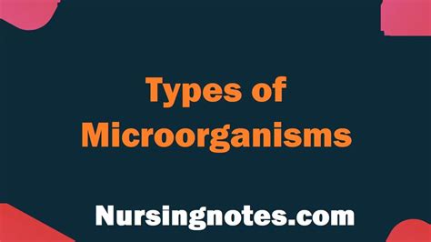 Classification or 6 Types of Microorganisms - NursingNotes