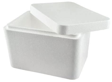 Foam Cooler Box Market