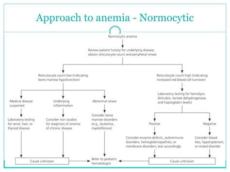 Normocytic Anemia Chart