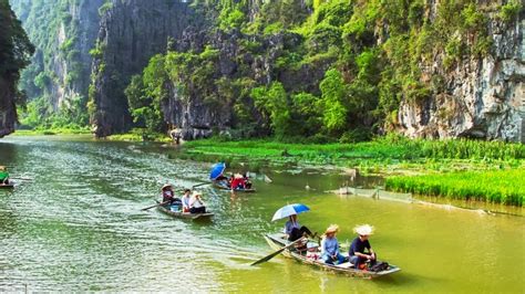 From Hanoi Tam Coc Hoa Lu Mua Caves Full Day Trip GetYourGuide