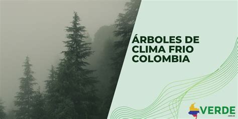 El cuidado de los árboles Colombia Verde