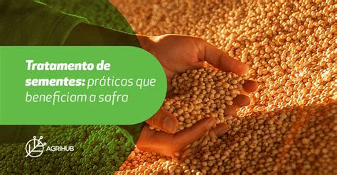 Tratamento de sementes práticas que beneficiam a safra INSTITUTO AGRIHUB