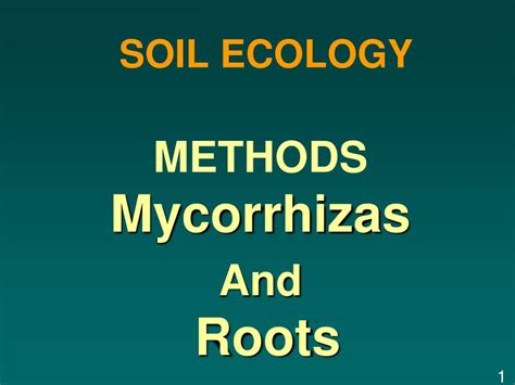 PPT - SOIL ECOLOGY PowerPoint Presentation, free download - ID:2884553