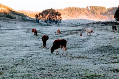 Santa Catarina registra frio recorde temperatura de 5 4ºC Metrópoles