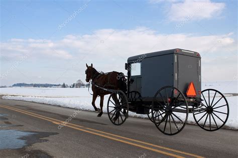 Amish Carriage — Stock Photo © DelmasLehman #8312445