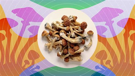 How to dose psychedelic mushrooms | Leafly