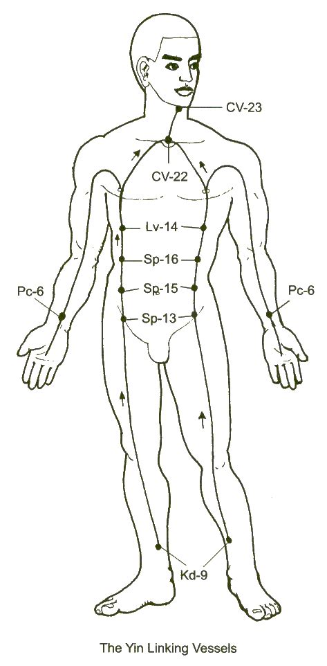 The Extraordinary Meridians Or Vessels 3 Meridians Chi Kung Tai