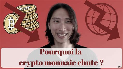 Comprendre la chute des crypto monnaies causes et conséquences