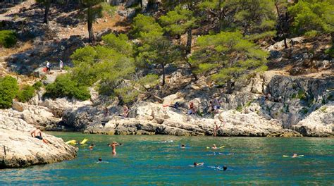 Parc National Des Calanques France Visites And Activités Expediafr