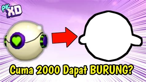 Buka Pet Pod Dapat Burung Lagi Cari Jagoan Crazy Run Pk Xd