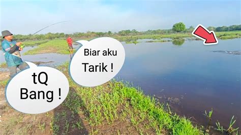 Casting Haruan Bawah Kawan Mancing Ikan Gabus Di Spot 500 Spot