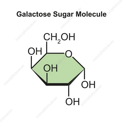 Galactose Sugar Molecule Illustration Stock Image F0374405 Science Photo Library