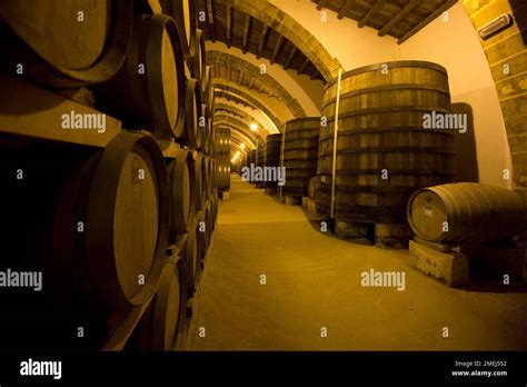 Wine Barrels In The Cellar Of Marsala Wine Maker Florio In Marsala