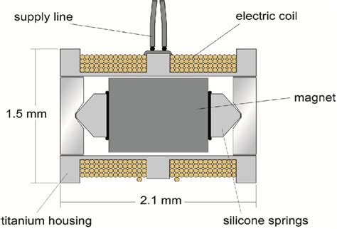 Cross Section Of The Floating Mass Transducer Reprinted From [15] Download Scientific Diagram