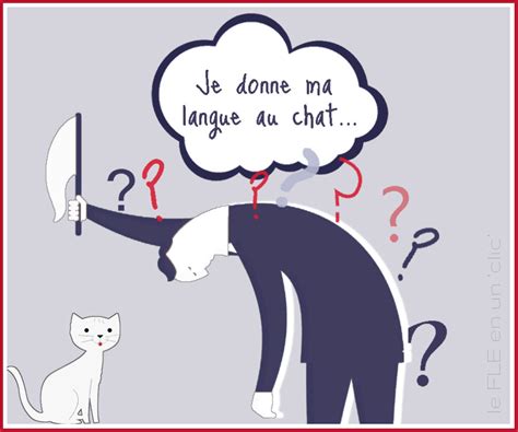 Le FLE En Un Clic Expression Donner Sa Langue Au Chat