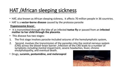 Drugs Used In Protozoal Infectionpptx