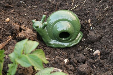 Slug Trap – Orchard Garden Antiques