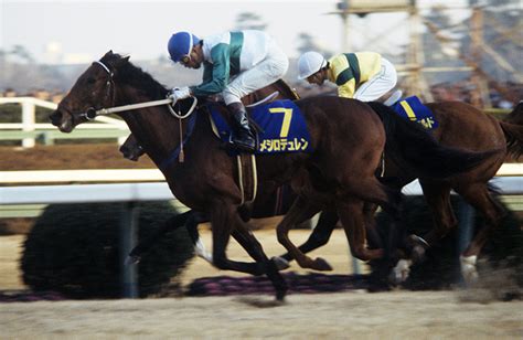 メジロデュレン｜名馬メモリアル｜競馬情報ならjra Van