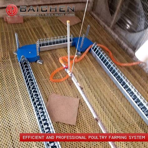 automatic broiler chicken feed chain conveyor poultry feeding