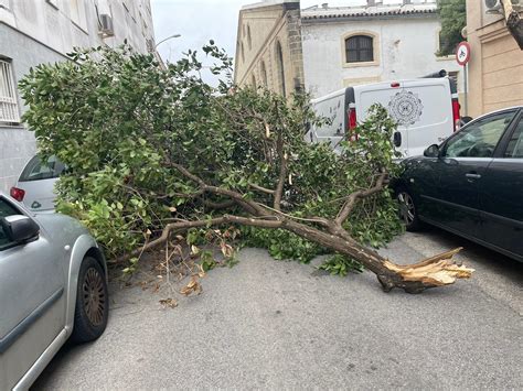 El temporal pone en alerta a la provincia de Cádiz caída de una enorme