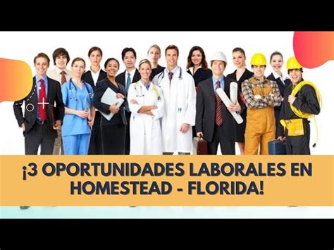 Oportunidades Laborales En Homestead Sin Papeles Descubre Los Mejores