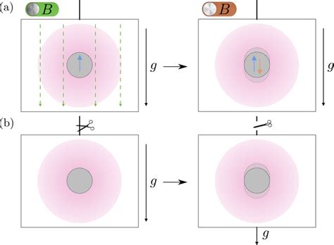 A Diagram Of The Proposed Experiments A Consists Of A Trapped Atom