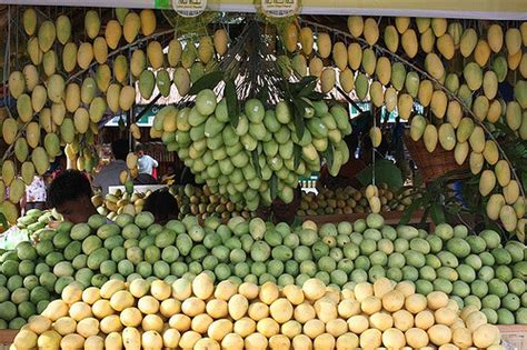 Guimaras To Bring 1500 Kilos Of Mangoes To Aliwan Festival Guimaras