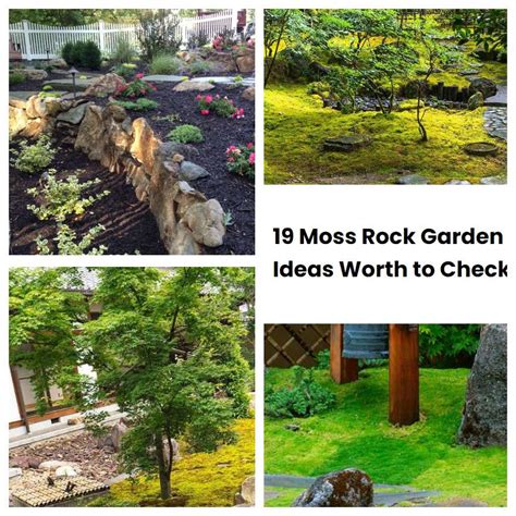 19 Moss Rock Garden Ideas Worth To Check Sharonsable