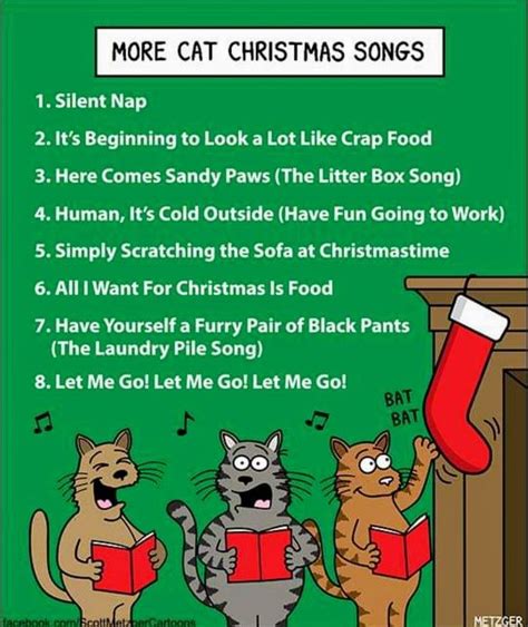 Pin By Lin Kerns On Funny As Hell Felines Christmas Cats Funny Cats