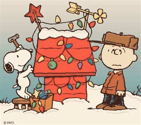 Pin By ~ 🌜🍀shannon 🍀🌛~ On Snoopy And The Peanuts Gang Charlie Brown Christmas Charlie Brown And