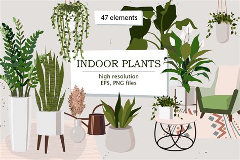 Indoor Plants Clipart Graphic By Elena Dorosh Art · Creative Fabrica