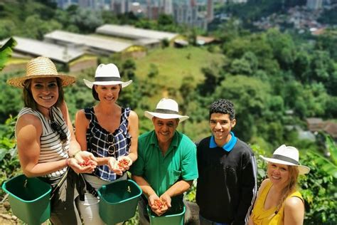 Half Day Coffee Plantation Private Tour In Medellín Colombia