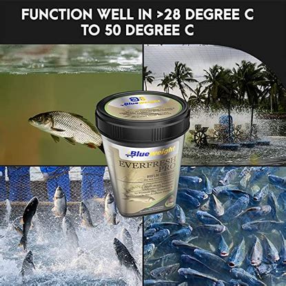 Best Probiotics for Aquaculture - Buy Probiotics For Fish Farming