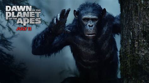 Dawn Of The Planet Of The Apes Wallpaper 1920x1080 83918