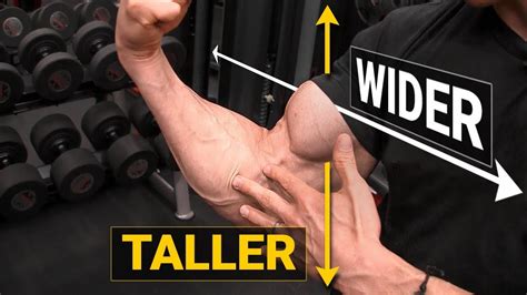 How To Get Bigger Biceps Taller And Wider Youtube