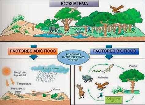 Factores Bi Ticos Y Factores Abi Ticos