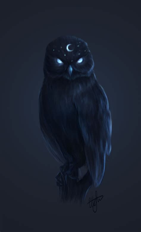 The Night Owl