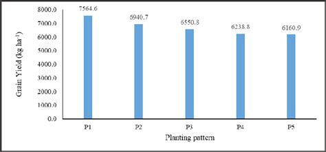 Effect Of Planting Pattern And Row Spacing On Grain Yield Biomass