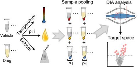 Integrated Protein Solubility Shift Assays For Comprehensive Drug